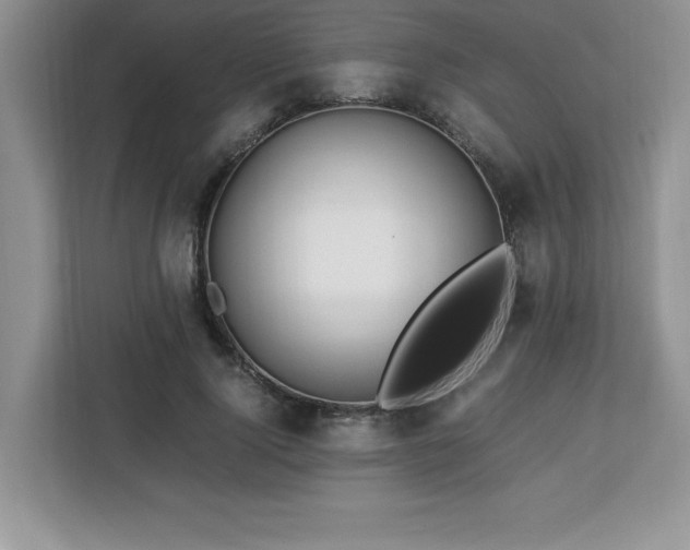 X0000113090740200908281243