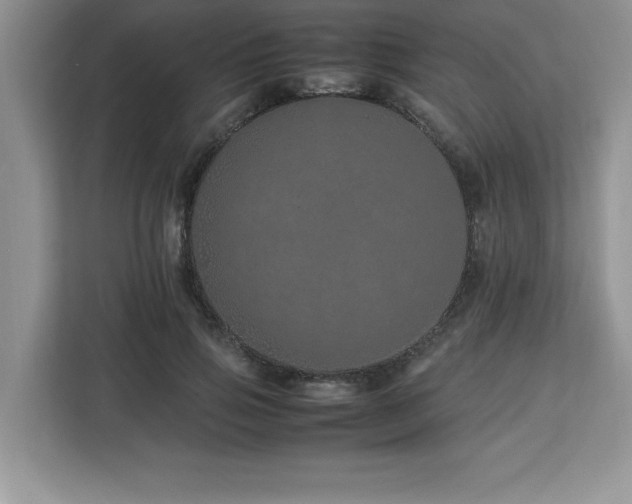 X0000113090741200908281243