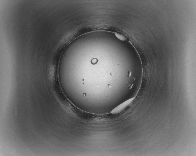 X0000113090742200908281243