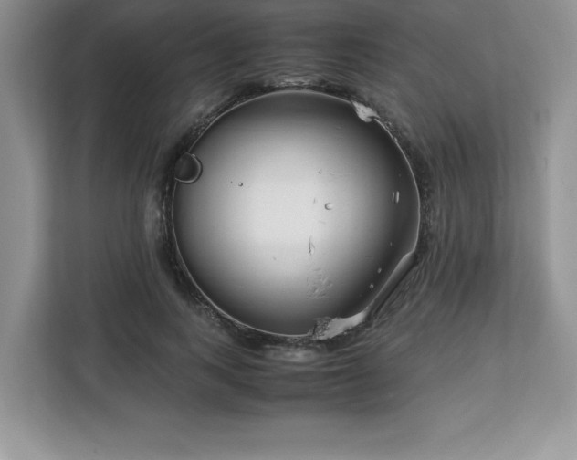 X0000113090743200908281243