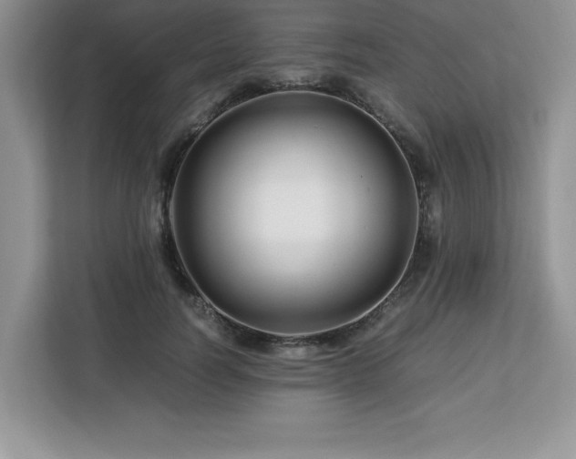 X0000113090746200908281243