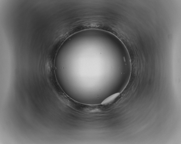 X0000113090747200908281243