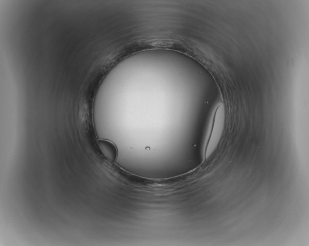 X0000113090748200908281243