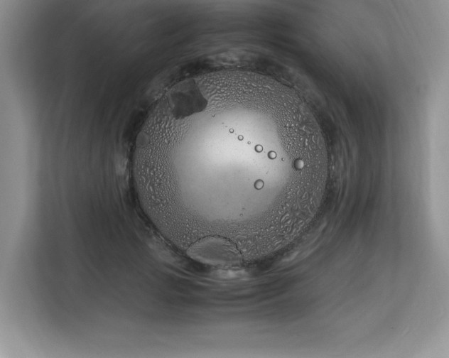 X0000113090749200908281243