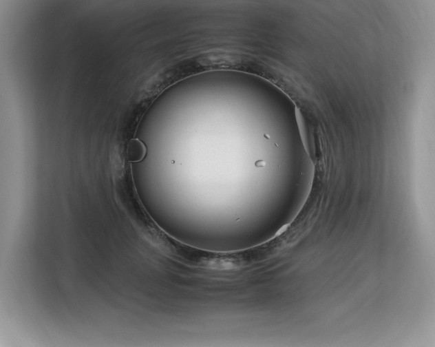 X0000113090751200908281243