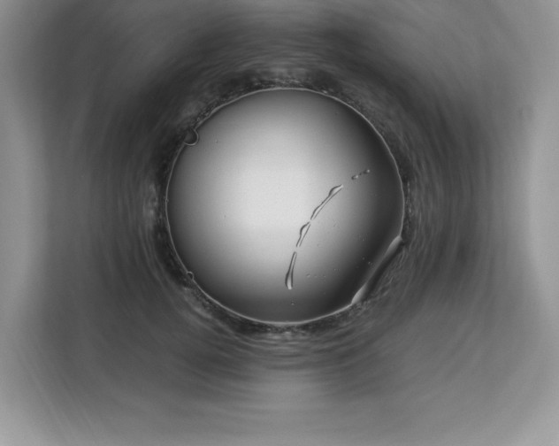 X0000113090752200908281243