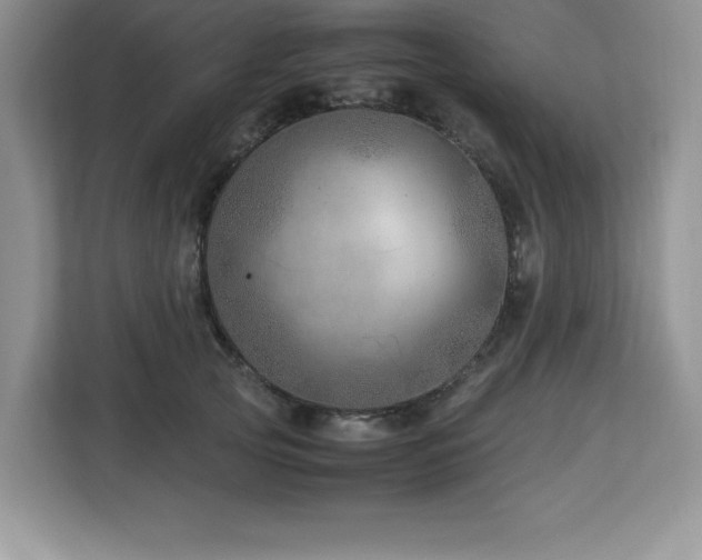 X0000113090753200908281243