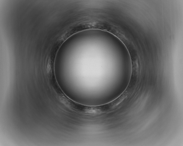 X0000113090754200908281243