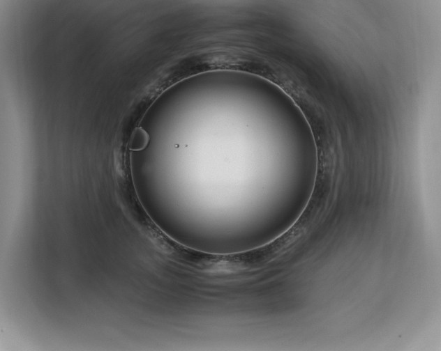 X0000113090755200908281243