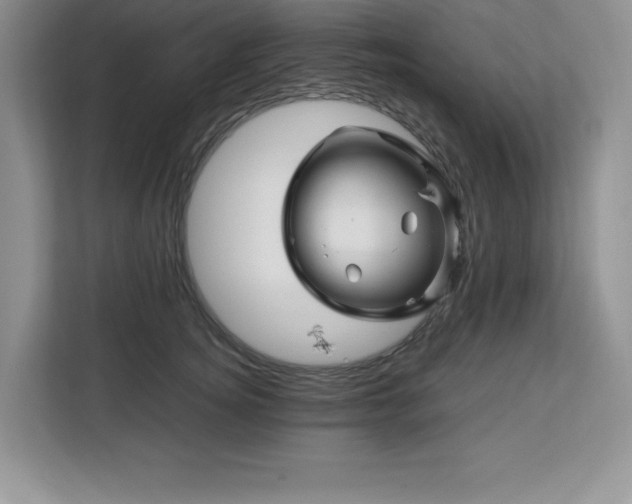 X0000113090756200908281243