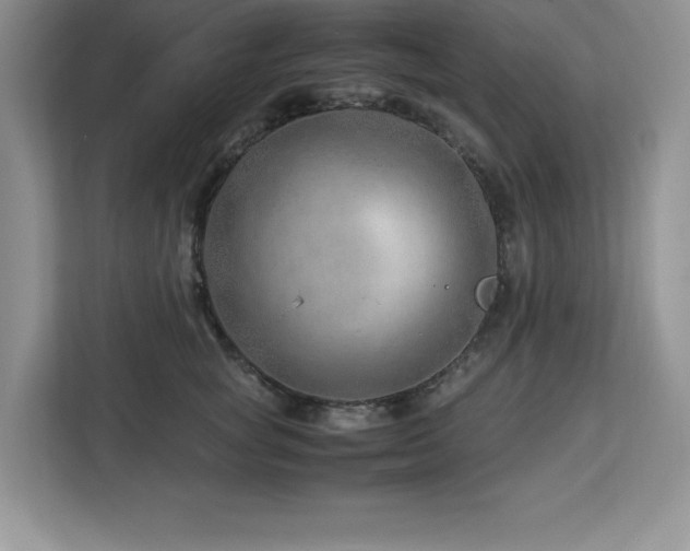 X0000113090757200908281243