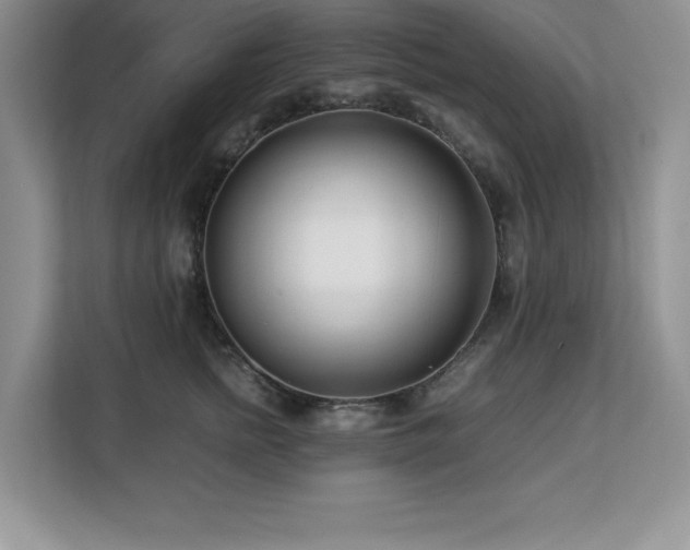 X0000113090758200908281243