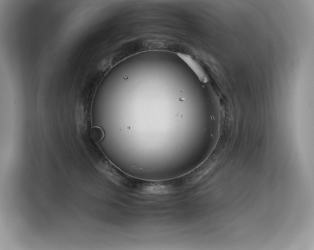 X0000113090759200908281243
