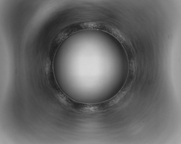 X0000113090760200908281243