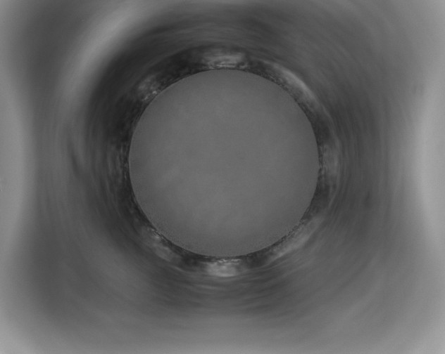 X0000113090761200908281243
