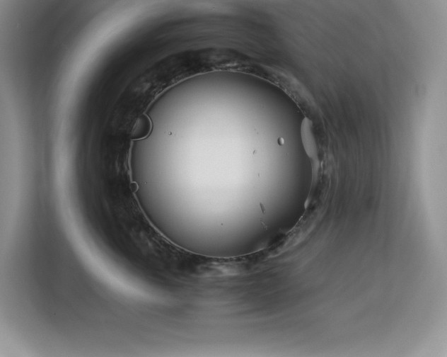 X0000113090763200908281243
