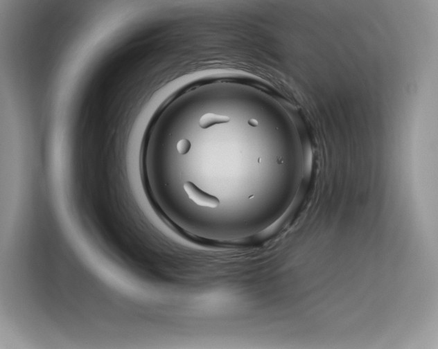 X0000113090764200908281243
