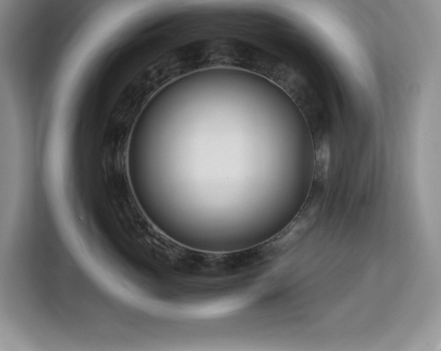 X0000113090765200908281243