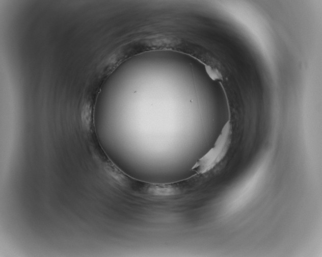 X0000113090767200908281243