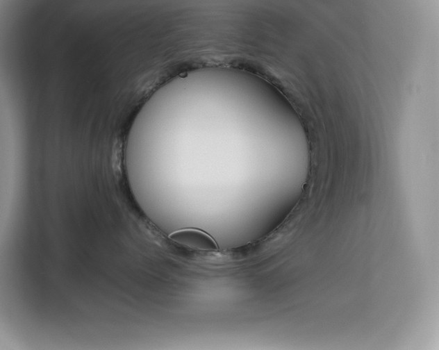 X0000113090768200908281243