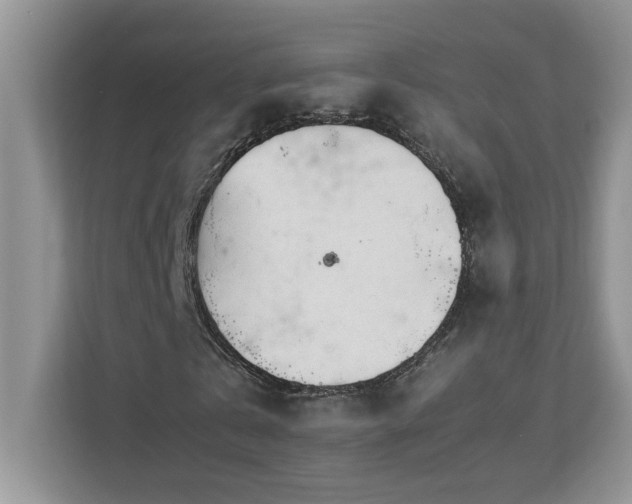 X0000113090769200908281243