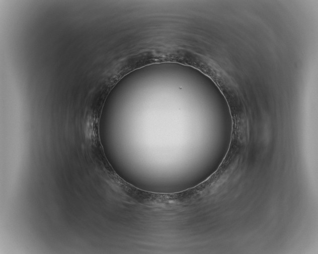 X0000113090770200908281243