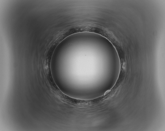 X0000113090771200908281243