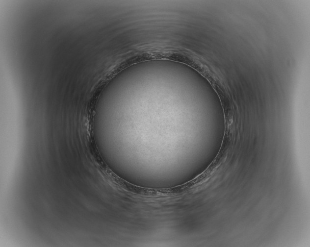 X0000113090772200908281243