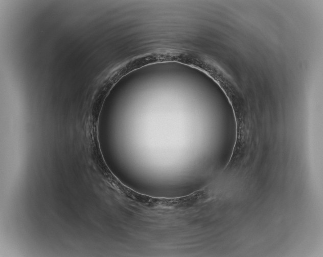 X0000113090773200908281242