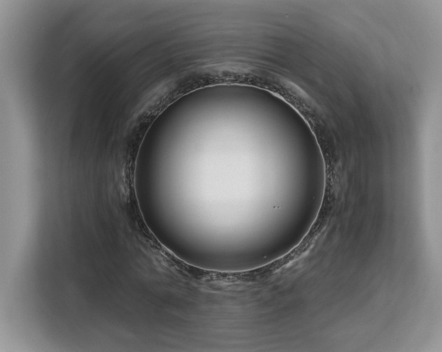 X0000113090774200908281242