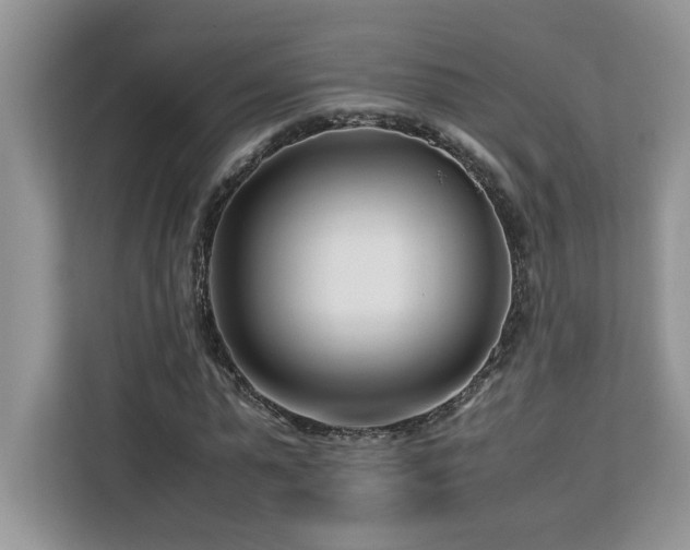 X0000113090775200908281242