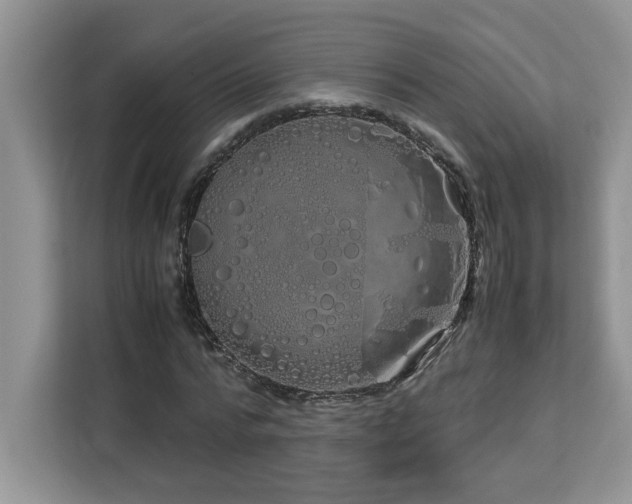 X0000113090776200908281242