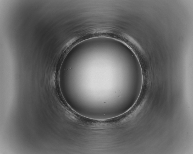X0000113090777200908281242