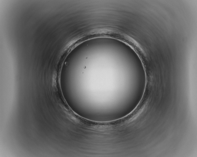 X0000113090778200908281242
