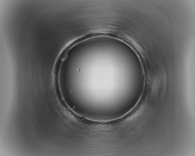 X0000113090779200908281242