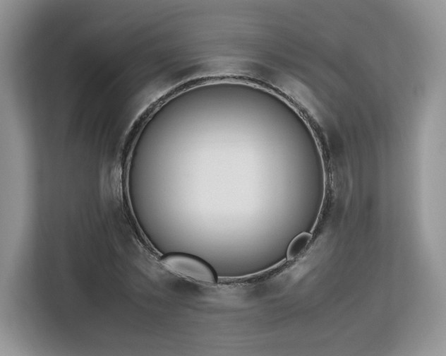 X0000113090781200908281242