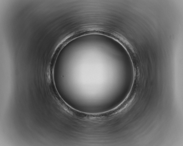 X0000113090782200908281242