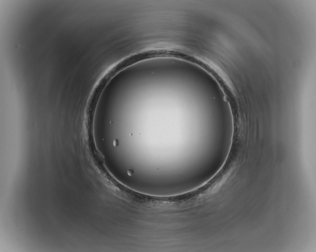 X0000113090783200908281242