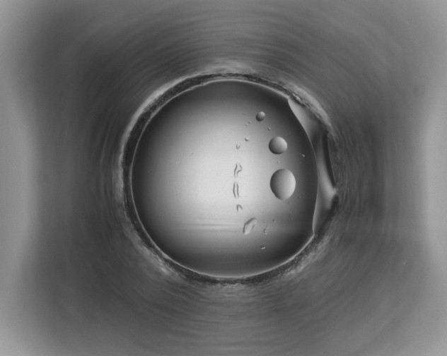 X0000113090784200908281242
