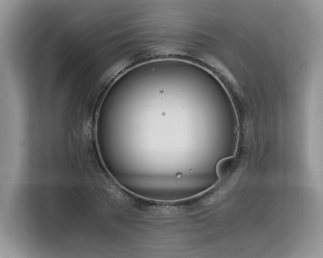 X0000113090785200908281242