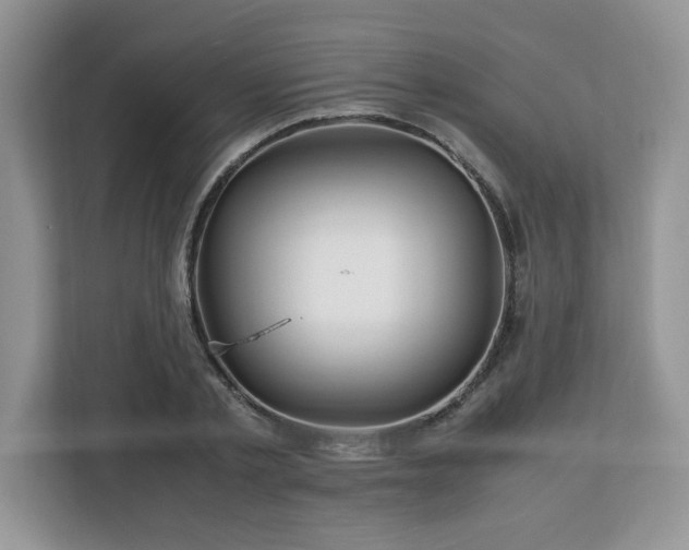 X0000113090789200908281242