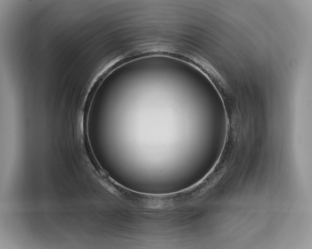 X0000113090790200908281242