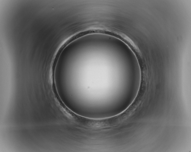 X0000113090791200908281242