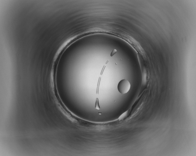 X0000113090796200908281242