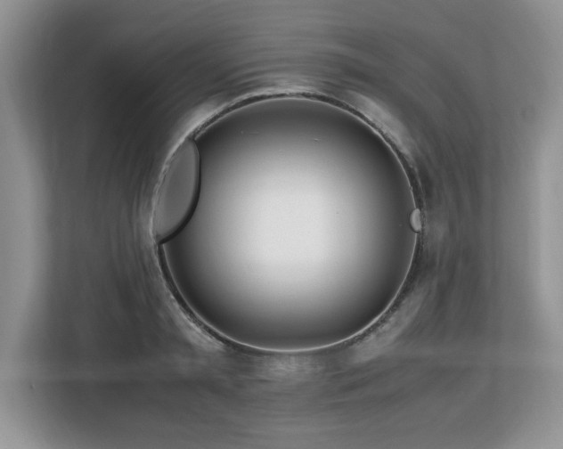 X0000113090797200908281242