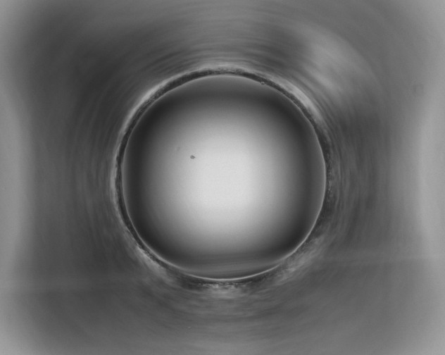 X0000113090799200908281242