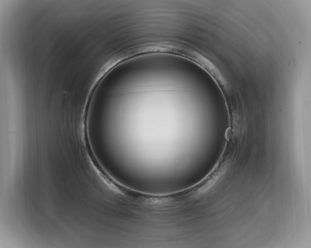X0000113090802200908281242