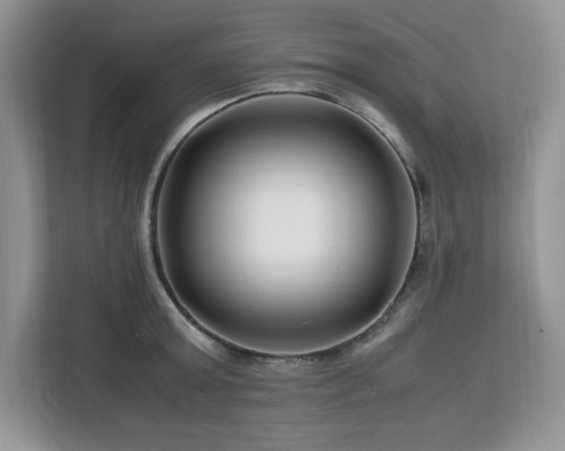 X0000113090803200908281242