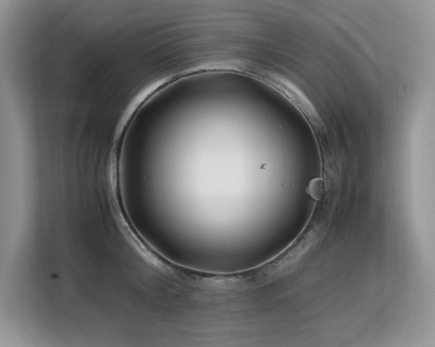 X0000113090804200908281242