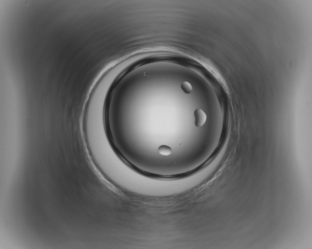 X0000113090805200908281242